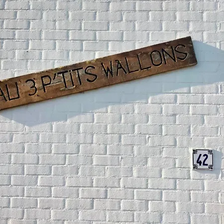 Aux 3 P'tits Wallons 펜션 미들케르케